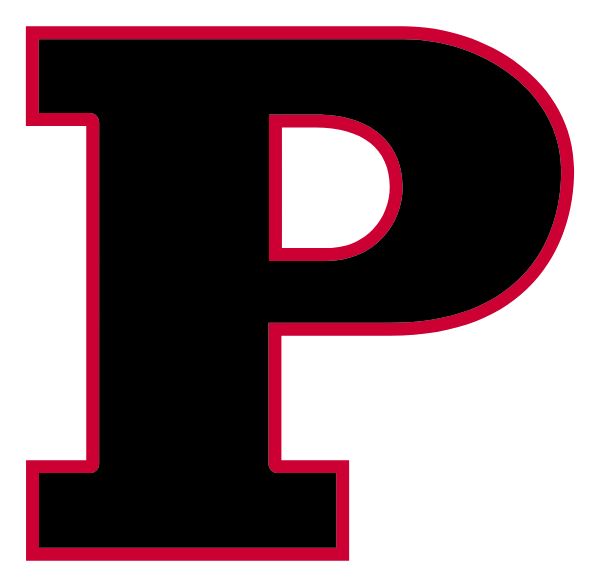 Palmetto logo