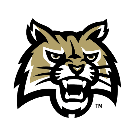 Buchholz logo