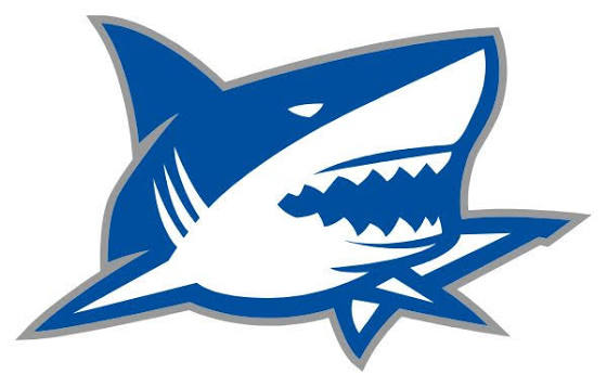 Anclote logo