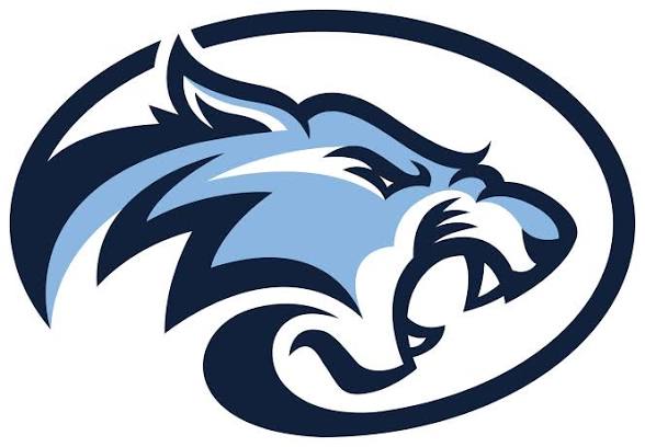 Wesley Chapel logo