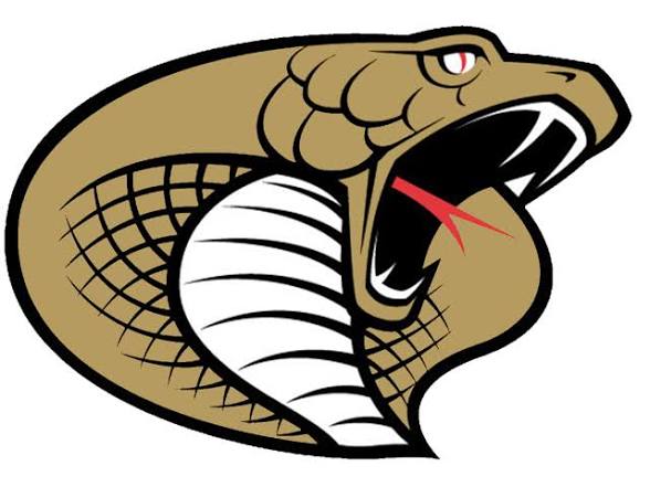 Hudson logo