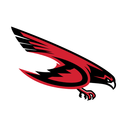 Dunedin logo